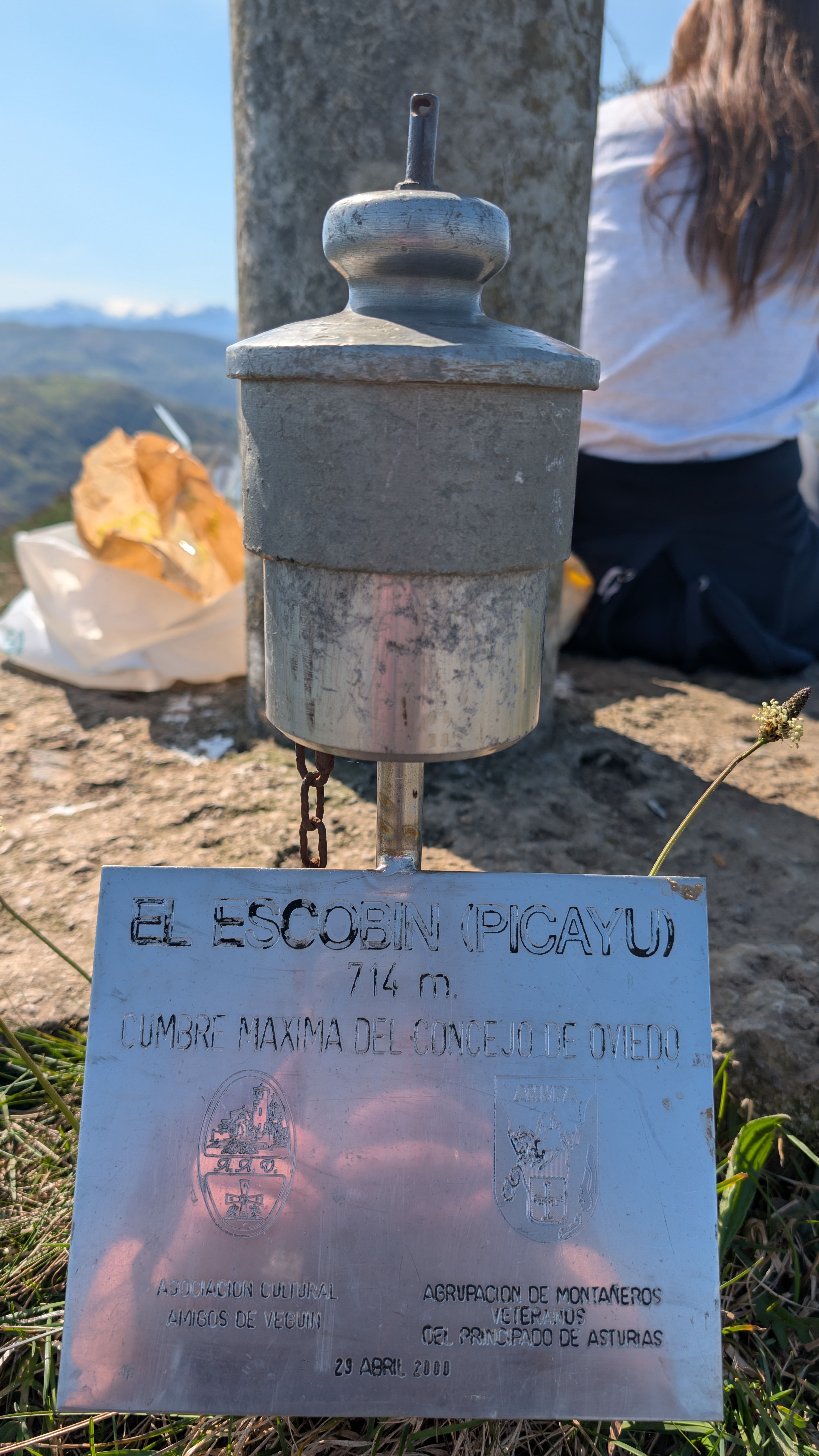 Picajo