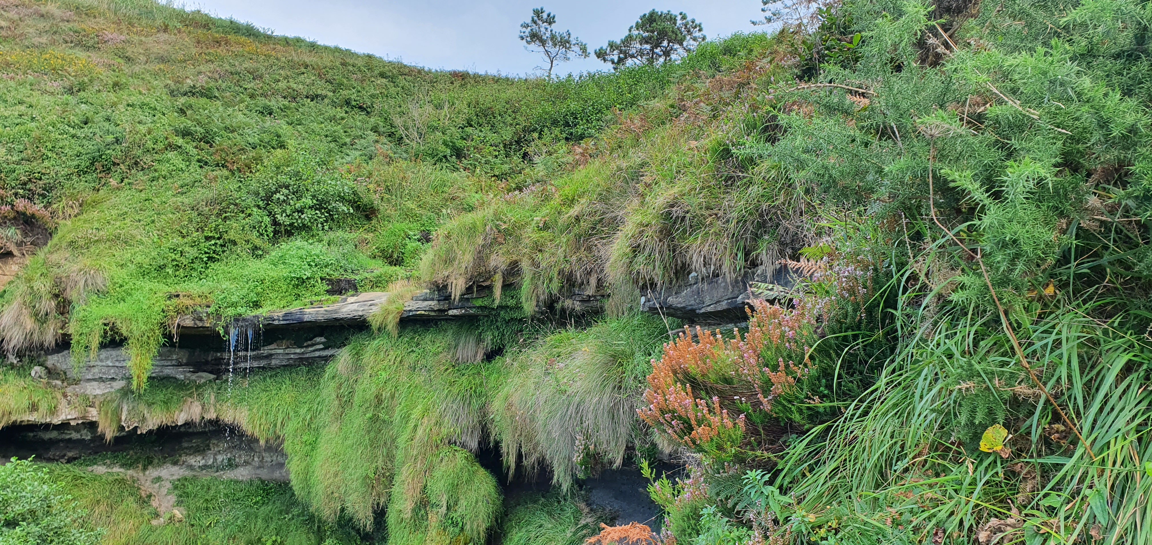 Cascada de la Mexona
