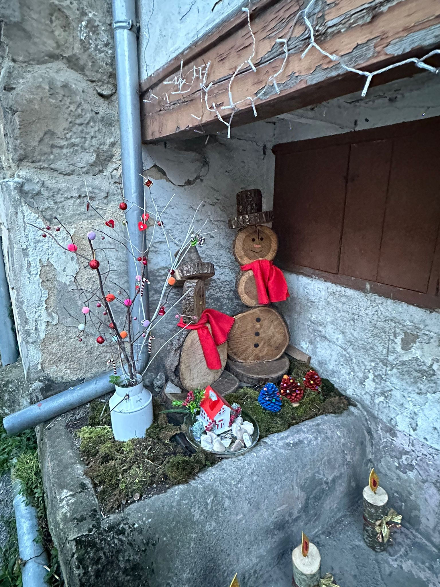 Nacimiento de troncos