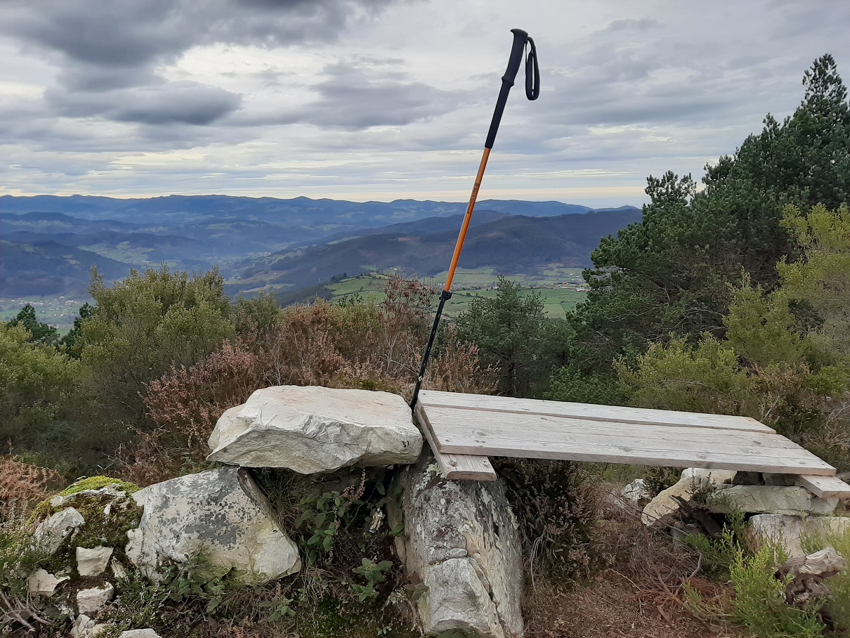 Pico Pedroso