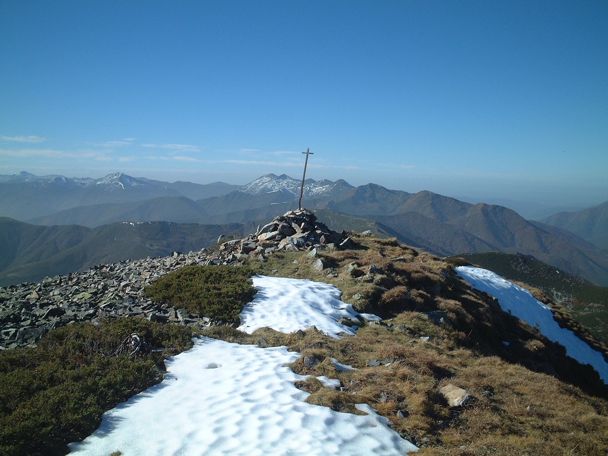 Alcornón de Busmori