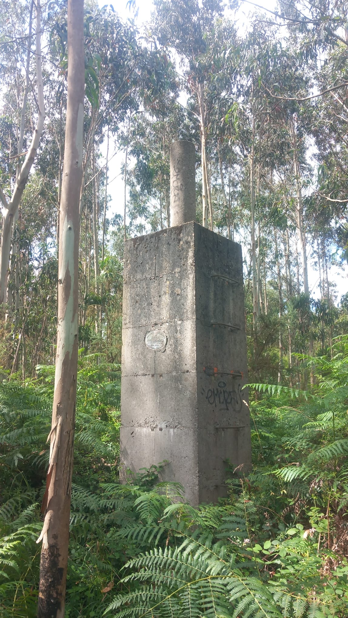 Monte Areo